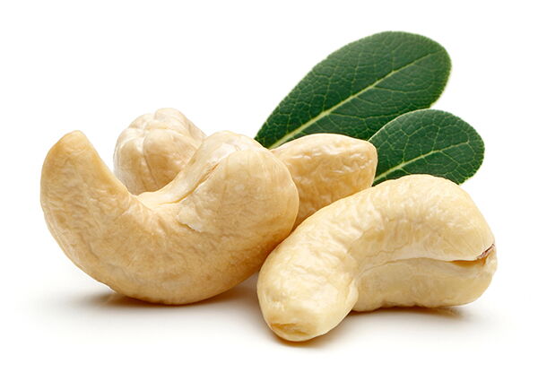 Cashew