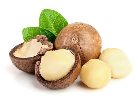 Macadamia