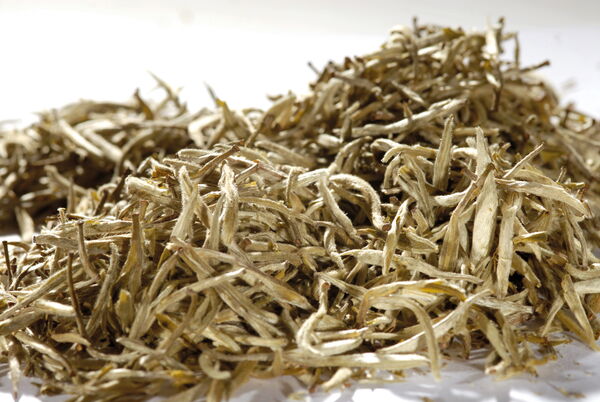 China Yin Zhen China 1st Grade (Silver Needle)
