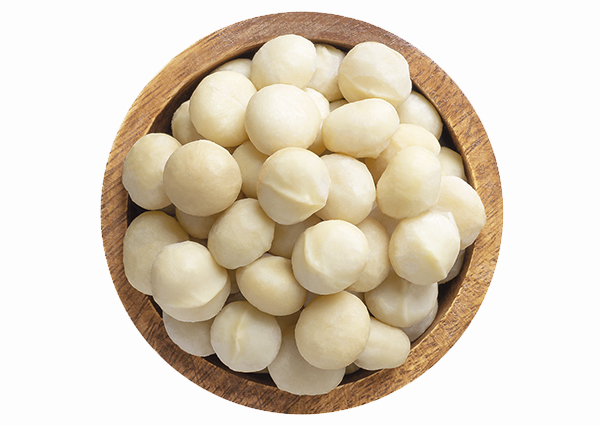 Macadamia